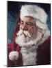 santa2015-Meadowpaint-Mounted Giclee Print