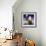 Santa-Art House Design-Framed Giclee Print displayed on a wall