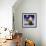 Santa-Art House Design-Framed Giclee Print displayed on a wall