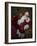 Santa-Santa’s Workshop-Framed Giclee Print