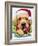 Santa-Jenny Newland-Framed Giclee Print