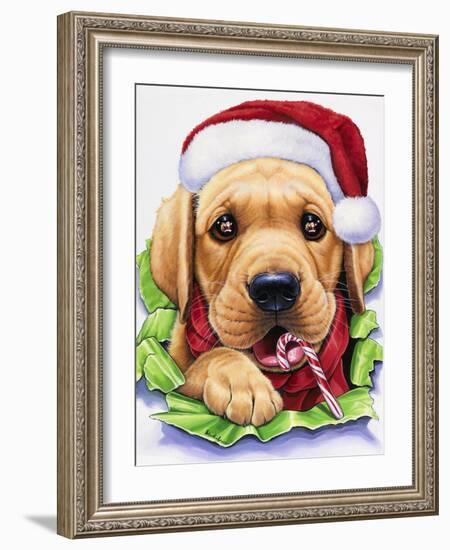 Santa-Jenny Newland-Framed Giclee Print