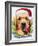 Santa-Jenny Newland-Framed Giclee Print