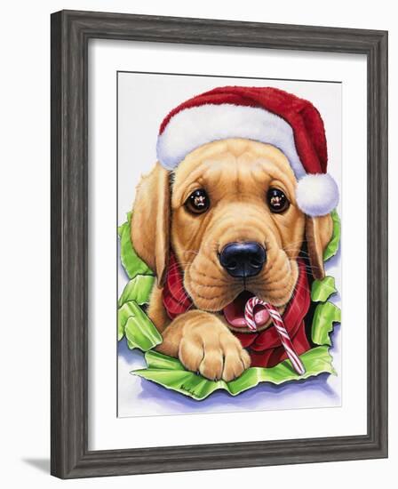 Santa-Jenny Newland-Framed Giclee Print