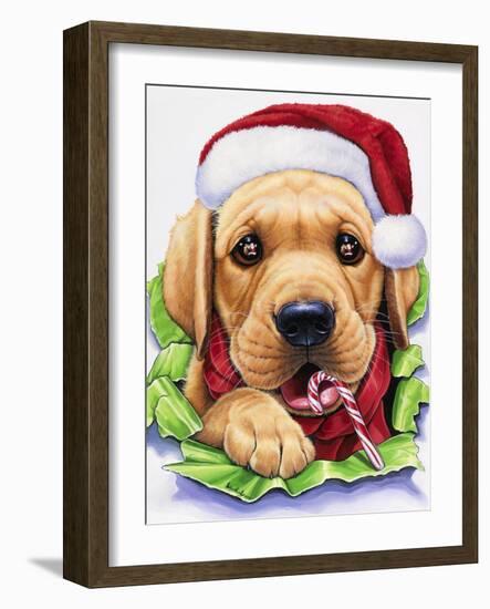 Santa-Jenny Newland-Framed Giclee Print