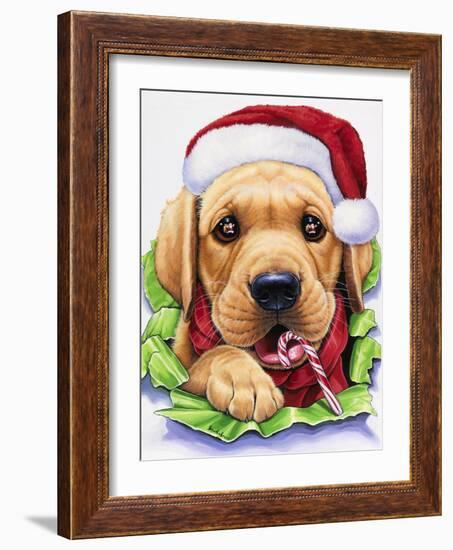 Santa-Jenny Newland-Framed Giclee Print