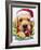 Santa-Jenny Newland-Framed Giclee Print