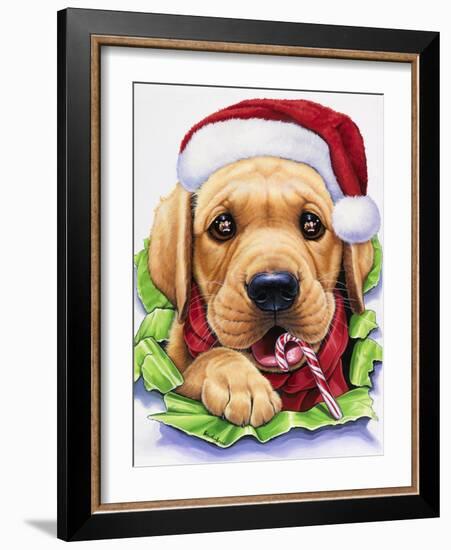 Santa-Jenny Newland-Framed Giclee Print