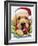 Santa-Jenny Newland-Framed Giclee Print