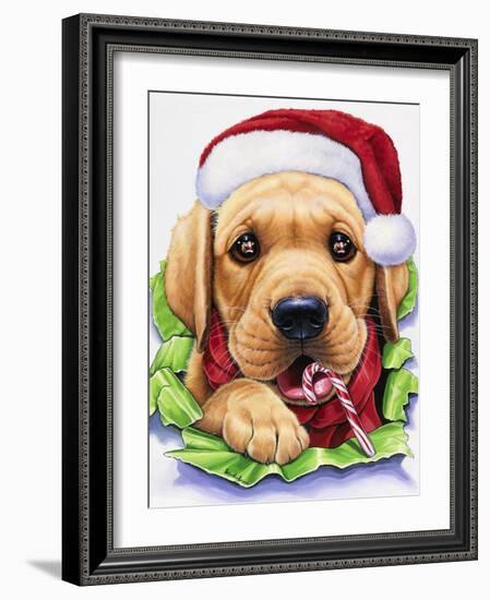 Santa-Jenny Newland-Framed Giclee Print