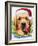 Santa-Jenny Newland-Framed Giclee Print