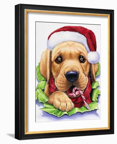 Santa-Jenny Newland-Framed Giclee Print