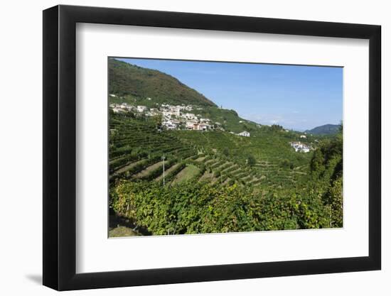 Santo Stefano di Valdobbiadene, Valdobbiadene, Veneto, Italy, Europe-Sergio Pitamitz-Framed Photographic Print