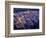 Santorini at Night, Greece-Walter Bibikow-Framed Photographic Print