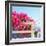 Santorini Blooms-Sylvia Coomes-Framed Photographic Print