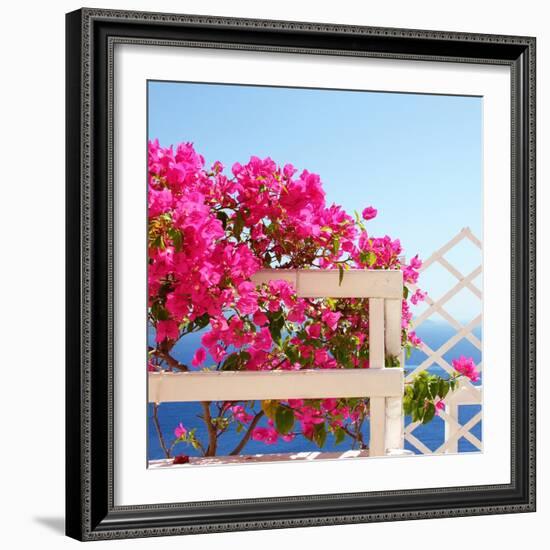 Santorini Blooms-Sylvia Coomes-Framed Photographic Print