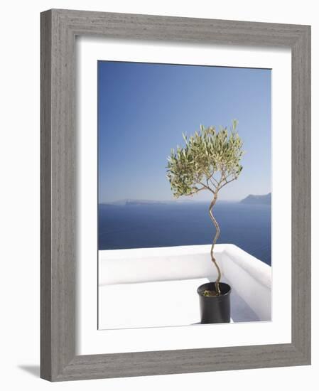 Santorini, Cyclades, Greek Islands, Greece, Europe-Angelo Cavalli-Framed Photographic Print