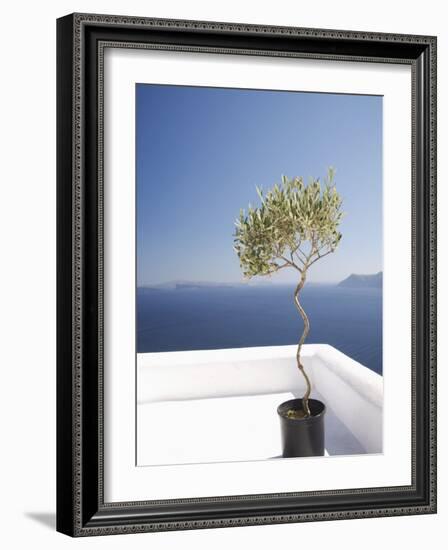 Santorini, Cyclades, Greek Islands, Greece, Europe-Angelo Cavalli-Framed Photographic Print