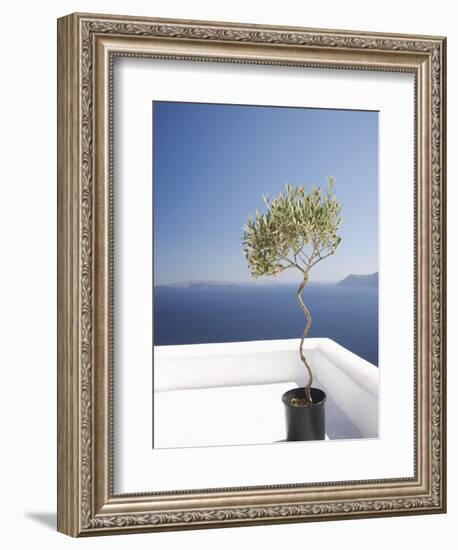 Santorini, Cyclades, Greek Islands, Greece, Europe-Angelo Cavalli-Framed Photographic Print