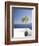 Santorini, Cyclades, Greek Islands, Greece, Europe-Angelo Cavalli-Framed Photographic Print