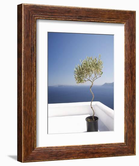 Santorini, Cyclades, Greek Islands, Greece, Europe-Angelo Cavalli-Framed Photographic Print