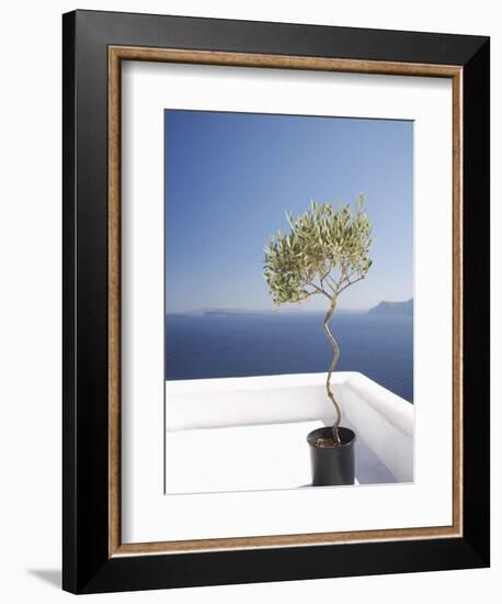 Santorini, Cyclades, Greek Islands, Greece, Europe-Angelo Cavalli-Framed Photographic Print