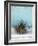 Santorini I-Sara Zieve Miller-Framed Art Print