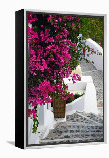 Santorini-mikdam-Framed Premier Image Canvas