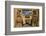 Santuario De Chimayo-DLILLC-Framed Photographic Print