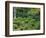 Sanzen-in Temple, Ohara, Kyoto, Japan-Rob Tilley-Framed Photographic Print