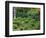 Sanzen-in Temple, Ohara, Kyoto, Japan-Rob Tilley-Framed Photographic Print