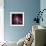 SAO: 30 Doradus-null-Framed Photographic Print displayed on a wall