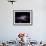 SAO: Black Holes Go Mano A Mano: NGC 6240-null-Framed Photographic Print displayed on a wall