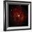 SAO: M83 Spiral Galaxy-null-Framed Photographic Print