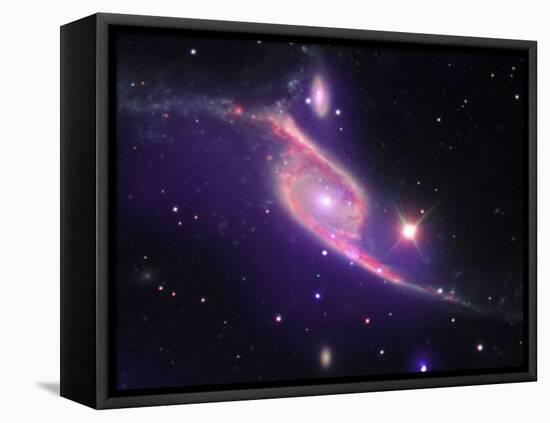 SAO: NGC 6872-null-Framed Premier Image Canvas