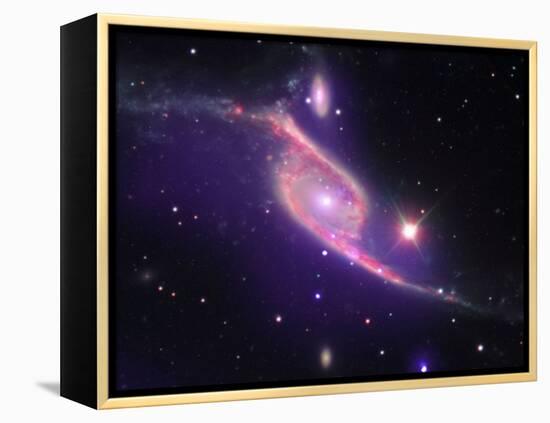 SAO: NGC 6872-null-Framed Premier Image Canvas