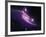 SAO: NGC 6872-null-Framed Photographic Print