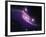 SAO: NGC 6872-null-Framed Photographic Print