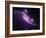 SAO: NGC 6872-null-Framed Photographic Print