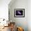 SAO: NGC 6872-null-Framed Photographic Print displayed on a wall