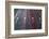 Sao Paulo Highway at Night, Brazil.-Jon Hicks-Framed Photographic Print