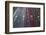 Sao Paulo Highway at Night, Brazil.-Jon Hicks-Framed Photographic Print