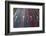 Sao Paulo Highway at Night, Brazil.-Jon Hicks-Framed Photographic Print