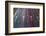 Sao Paulo Highway at Night, Brazil.-Jon Hicks-Framed Photographic Print