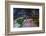 Sao Paulo Highway at Night, Brazil.-Jon Hicks-Framed Photographic Print