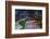 Sao Paulo Highway at Night, Brazil.-Jon Hicks-Framed Photographic Print