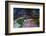 Sao Paulo Highway at Night, Brazil.-Jon Hicks-Framed Photographic Print