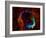 SAO: RCW 86-null-Framed Premium Photographic Print