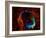 SAO: RCW 86-null-Framed Photographic Print