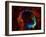 SAO: RCW 86-null-Framed Photographic Print